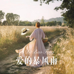 爱的暴风雨 (Remix)