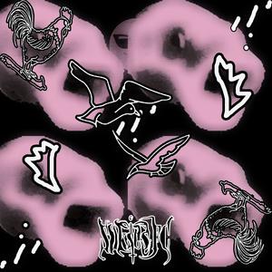 Cock disturbed seagulls