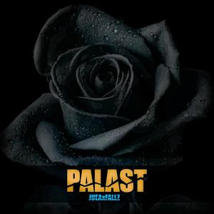 Palast (feat. JUEA) [Explicit]