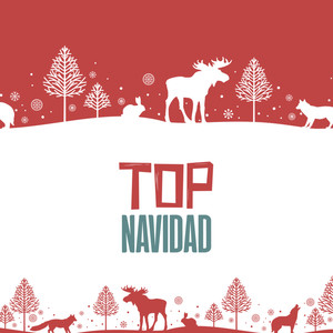 Villancicos De Navidad (Live)