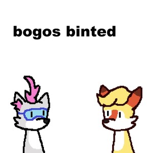 bogos binted(feat. 2a03fox)