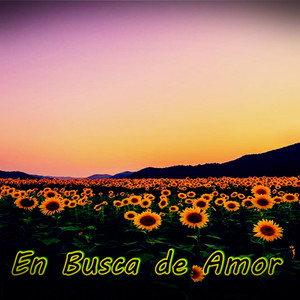 En Busca de Amor