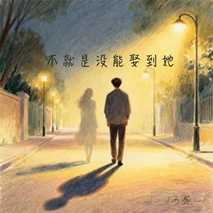 不就是没能娶到她 (伴奏)