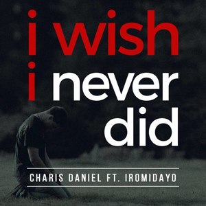 I Wish I Never Did (feat. Iromidayo)