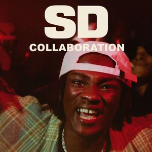 SD COLLABORATION