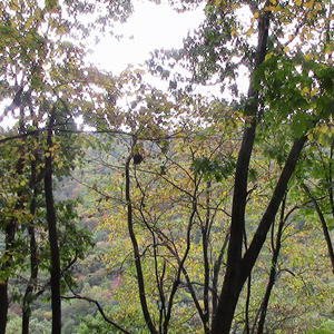 i dont wanna leave earth (Explicit)