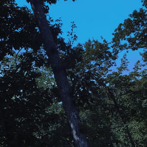 Nights Like This (feat. PHANTOM & N4EEM)