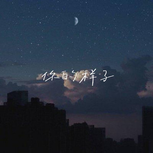 你的样子