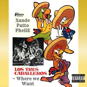 Where we want (feat. PheliE & Patto) (Explicit)