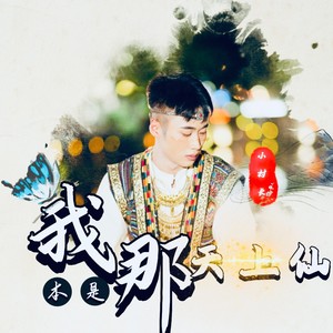 我本就是天上仙 (伴奏)