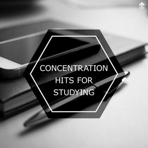 Concentration Hits For Studying