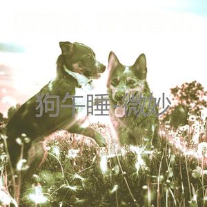 狗音乐 背景音乐 - 非凡-狗