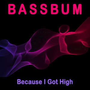 Bassbum - Because I Got High (Extended Mix)
