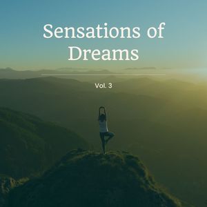 Sensations of Dreams Vol. 3