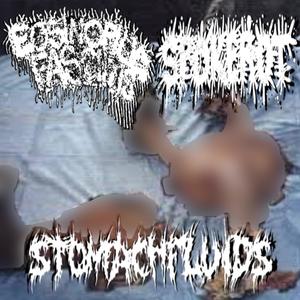 SPLIT W/ SPOKEROT // STOMACH FLUIDS (ExF SIDE)