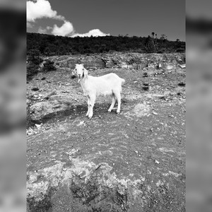 Khaze imali (Explicit)