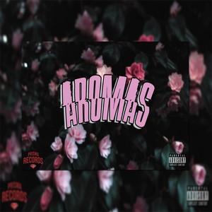 Safrok Ucs - Aromas (Explicit)