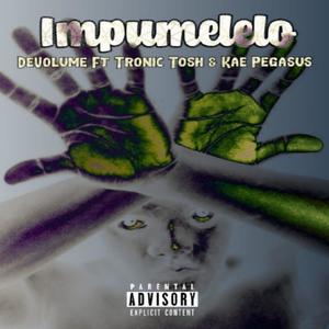 Impumelelo (feat. Kae Pegasus & Tronic Tosh) [Explicit]