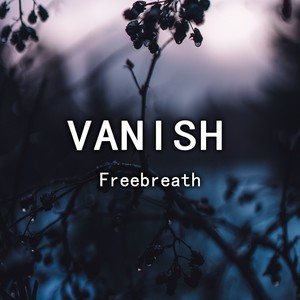 Vanish