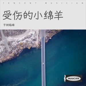 受伤的小绵羊 (Demo)