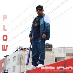 Flow Perucho (Explicit)