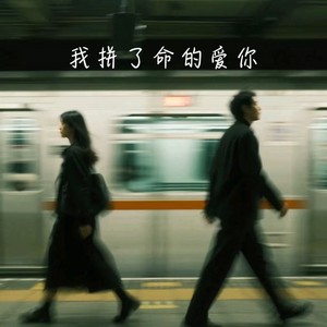 我拼了命的爱你