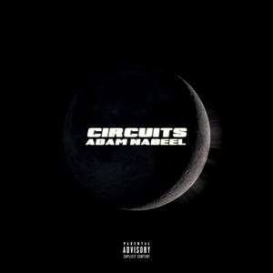 Circuits (Explicit)