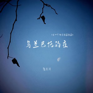 乌兰巴托的夜(有一个地方很远很远)