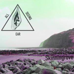 Skinningrove