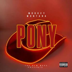 Pony (Explicit)