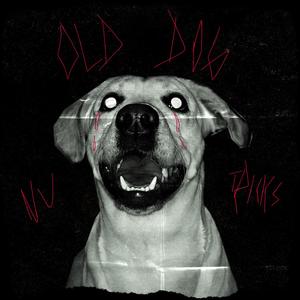 OLD DOG / NU TRICKS (feat. sendflowrs)