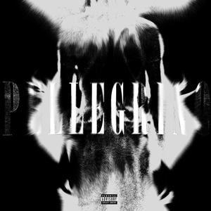 PELLEGRINO (feat. FXST) (Explicit)