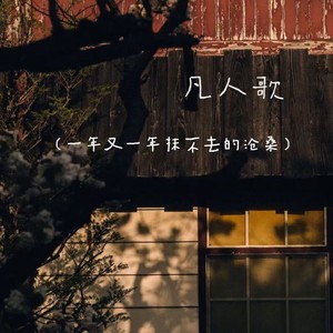 凡人歌（一年又一年抹不去的沧桑）