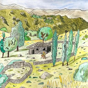 Jacaranda (Casa de Piedra Version)