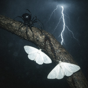 Bleeding (instrumental)