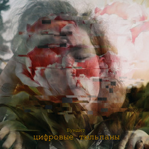 Твой парень из Питера