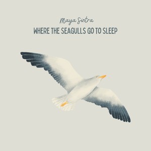 Where the Seagulls go to Sleep