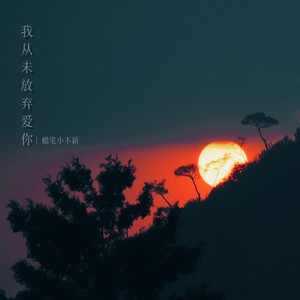 我从未放弃爱你