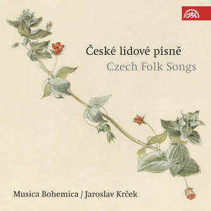 Czech Folk Songs - Oh Acorn, Acorn /Lovesickness/ (II., Page 300)