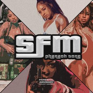 SFM (Explicit)