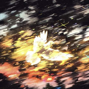 MONTAGEM 486 (降调版)