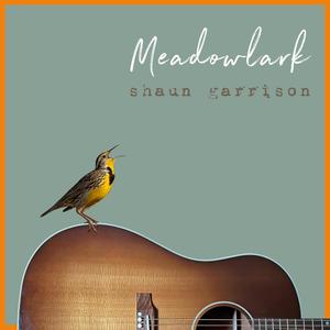 Meadowlark (guitar only)