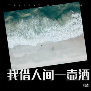 我借人间一壶酒 (伴奏)