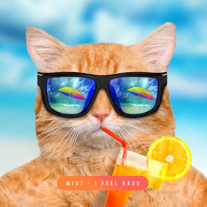 I Feel Bass (Streaming Edit)
