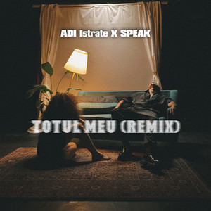 Totul meu (Remix)