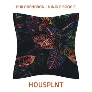 Philodendron Jungle Boogie