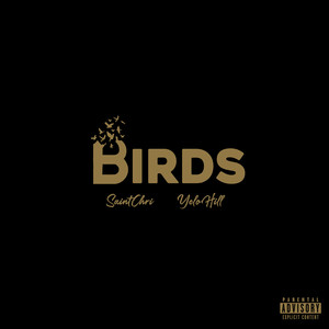 Birds (Explicit)