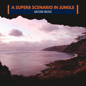 Forest Place For Calmness