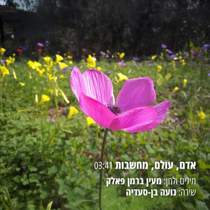 אדם, עולם, מחשבות