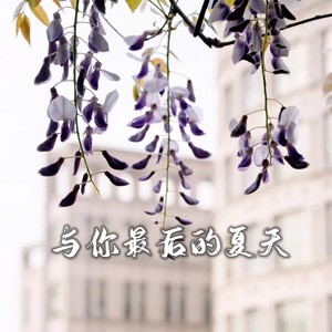 与你最后的夏天